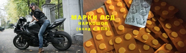 сатива Алзамай