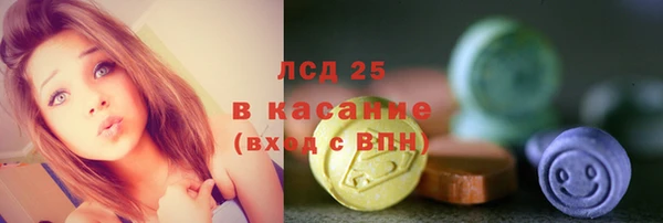 сатива Алзамай