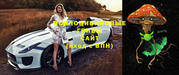 амфетамин Алексеевка