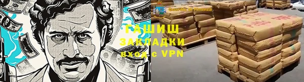 сатива Алзамай