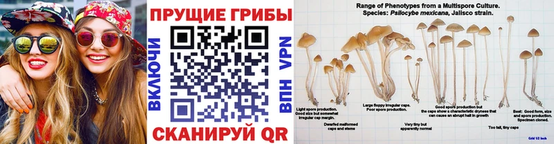 Псилоцибиновые грибы мухоморы  Ардон 